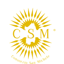 CONS-SAN-MICHELE